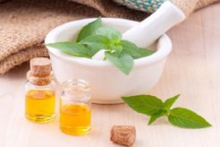 Herbal Cosmetic Products
