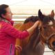 Massage Your Horse